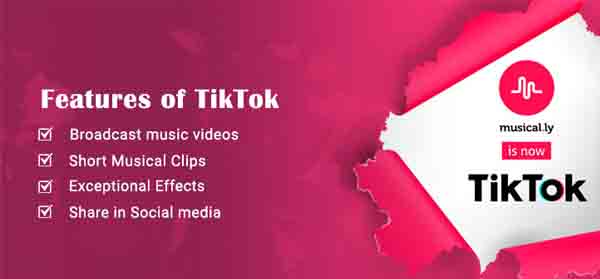 tiktok53363.jpg